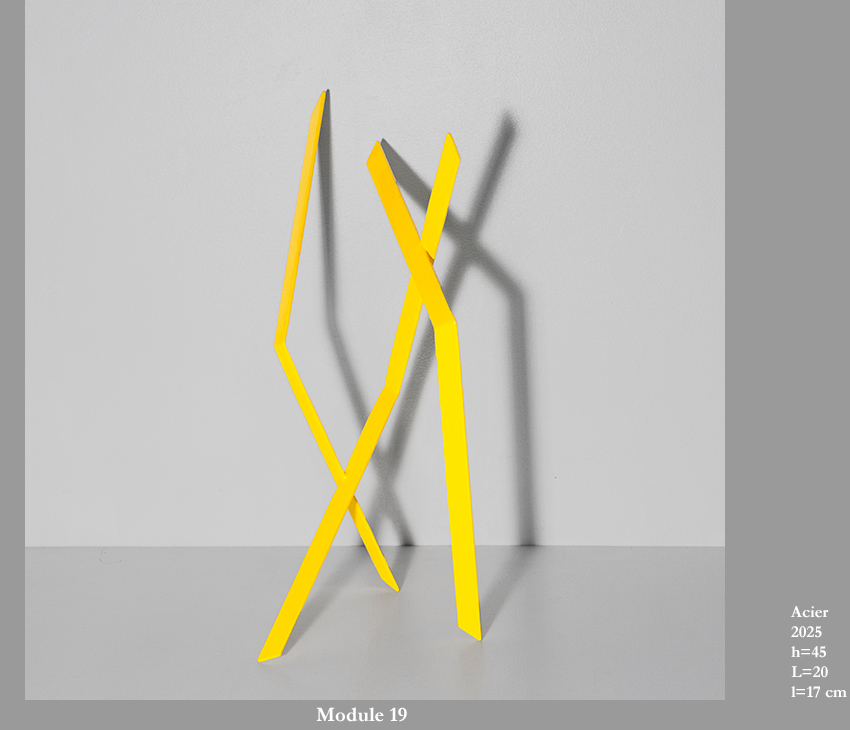Module 19